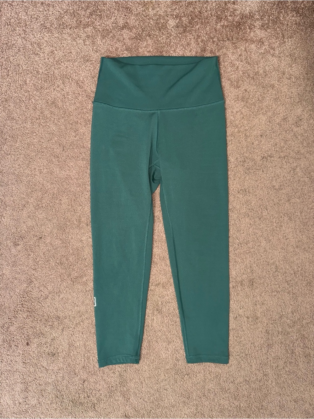 Fleo Teal Leggings